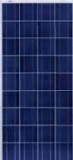 Microtek Solar Panel Photovoltaic Module 40W